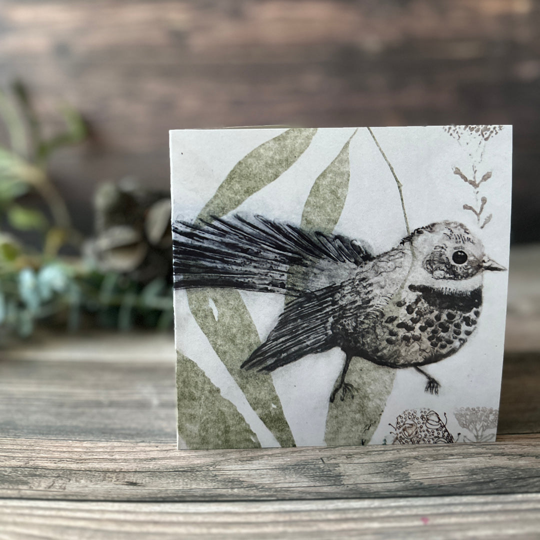 Rufous Bristlebird