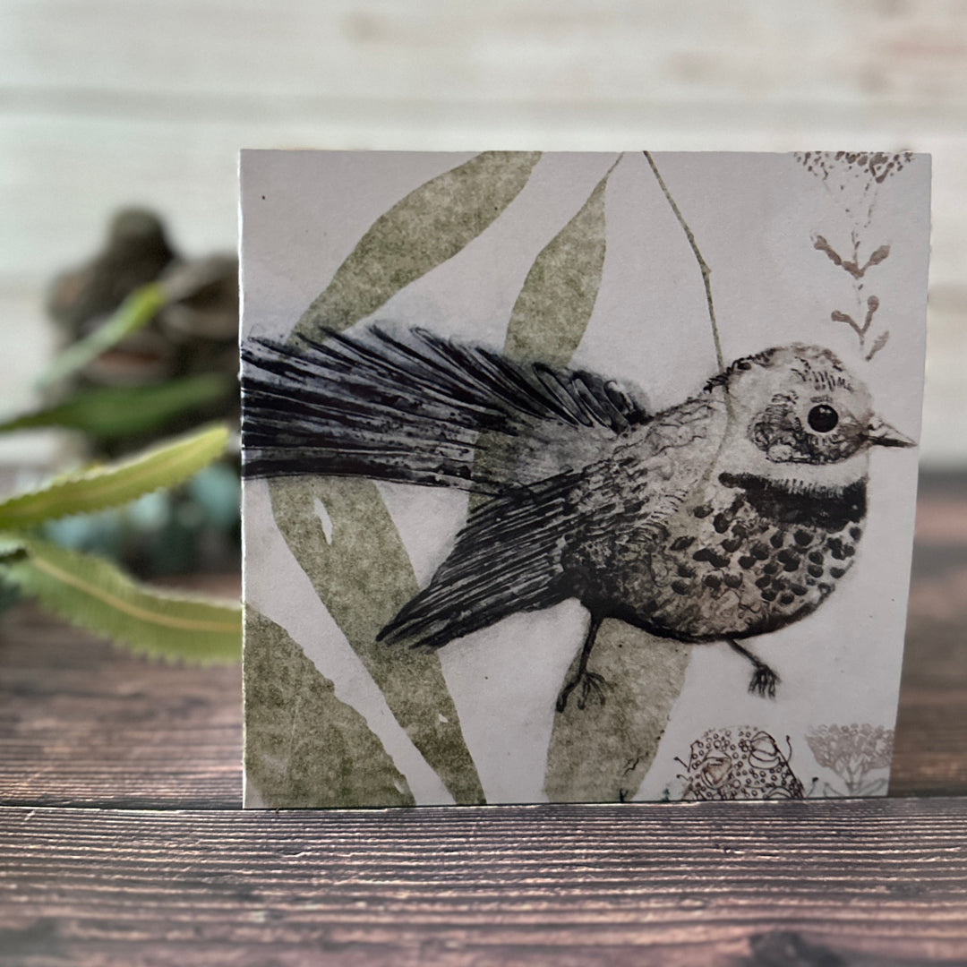 Rufous Bristlebird