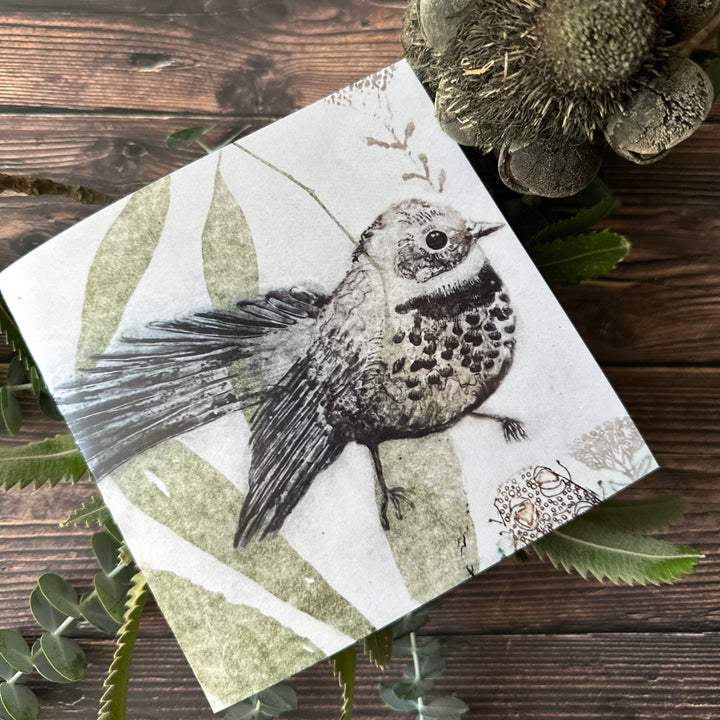 Rufous Bristlebird