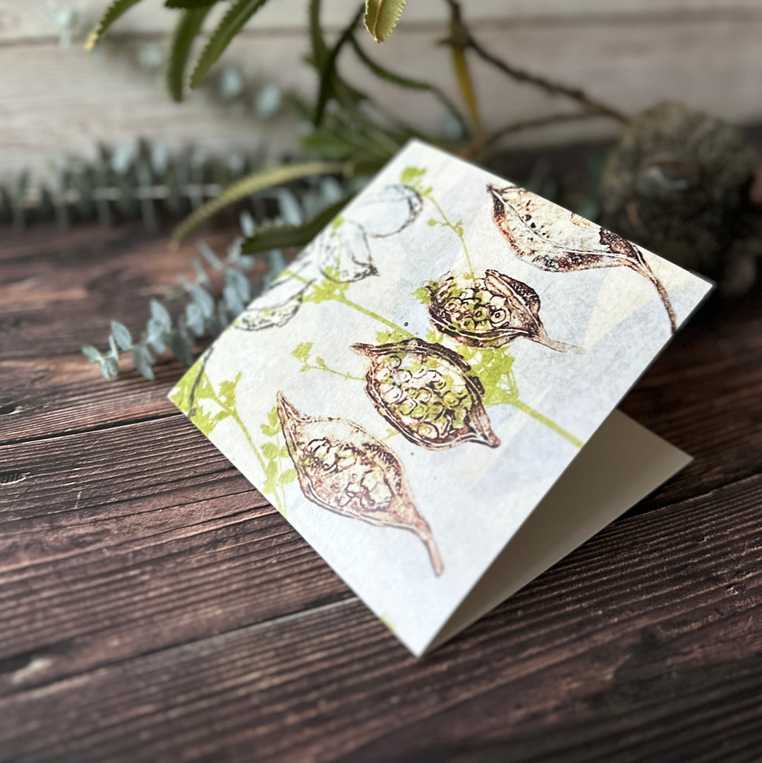 Square Greeting Card - Four Seed Pods and Curry plant