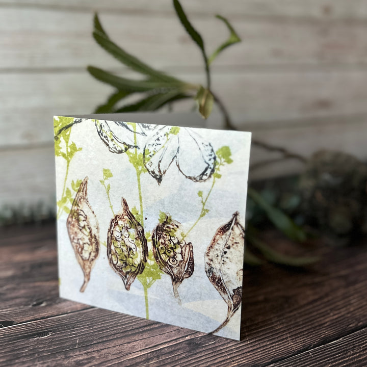 Square Greeting Card - Four Seed Pods and Curry plant